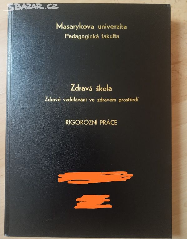 Rigorózní/ diplomová/ závěrečná práce na VŠ