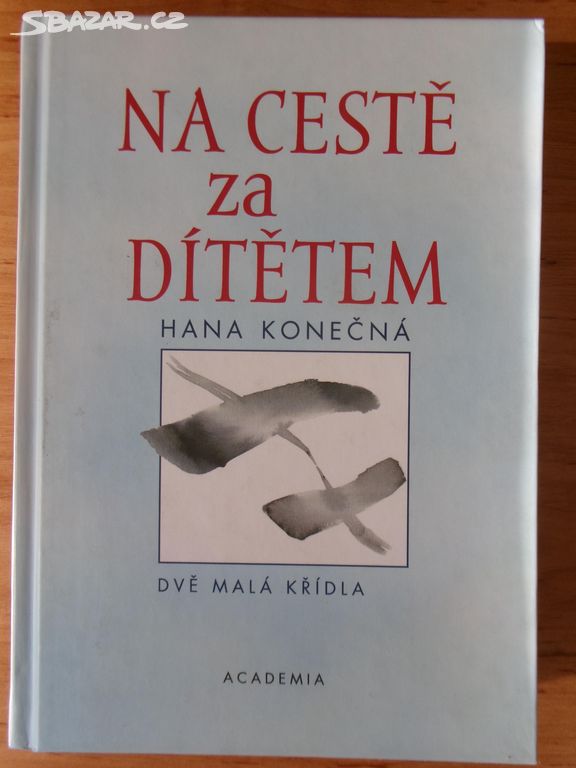 Na cestě za dítětem - dvě malá křídla.