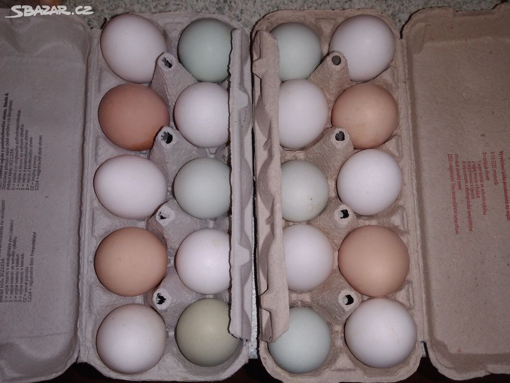 Čerstvá domácí vejce