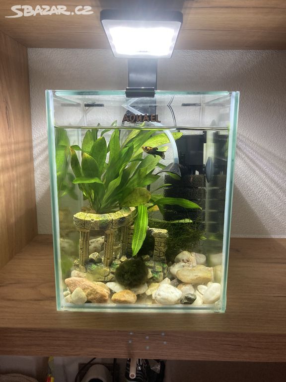 Akvarium set 10L vybavene