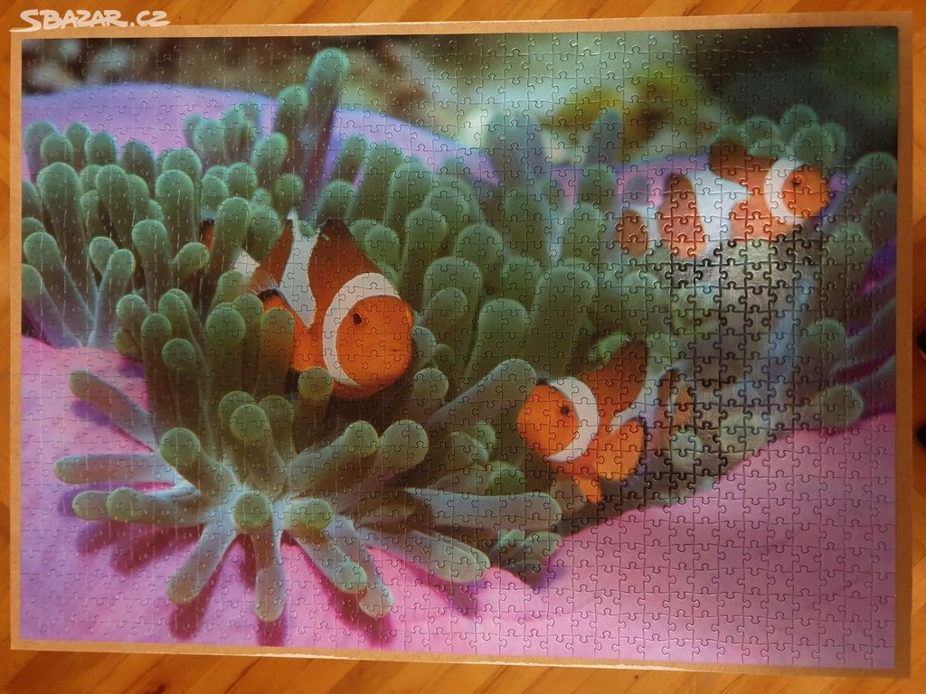 Puzzle obraz Korál Sasanka Klaun Nemo 1000