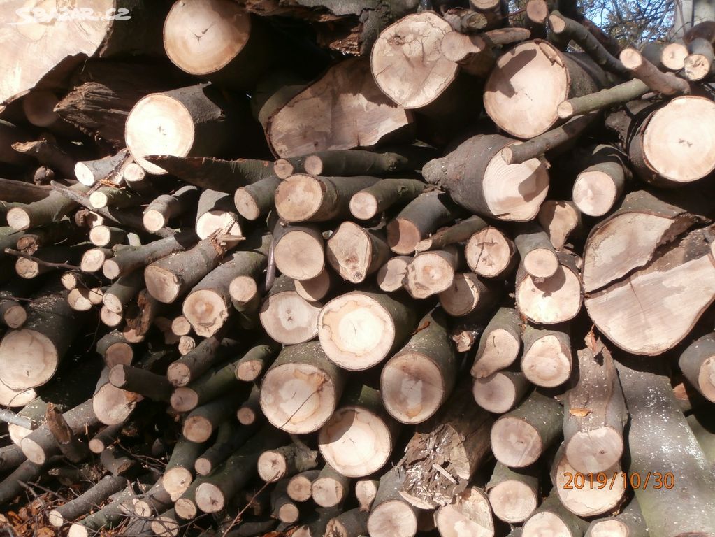 Palivové dřevo - LÍPA