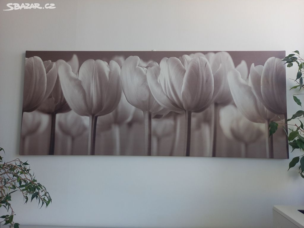 Obraz tulipánů Ikea