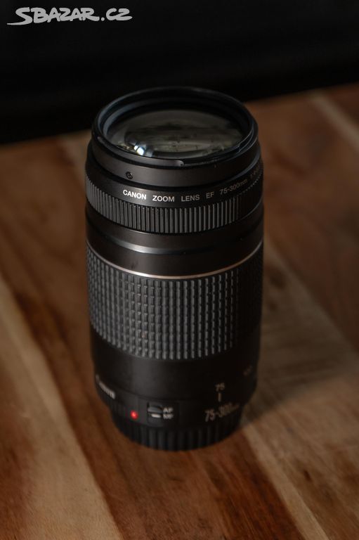 Canon EF 75-300 mm f/4-5.6