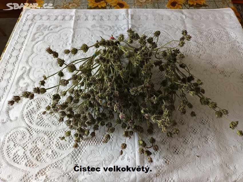 Sušené květiny,kytice - Čistec velkokvětý.