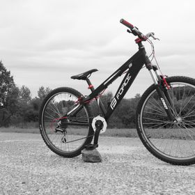 Obrázek k inzerátu: MTB/DIRT FORCE, 26" - kontakt email