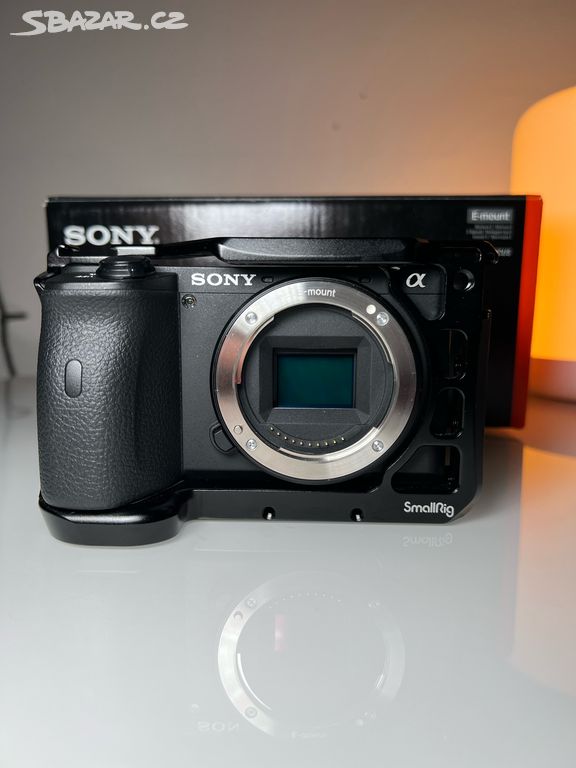 Sony a6600