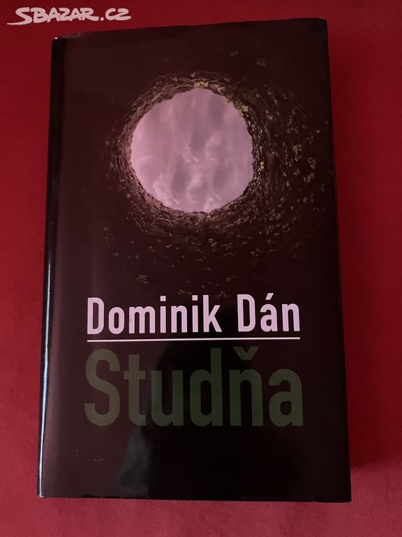 Dominik Dán - Studňa