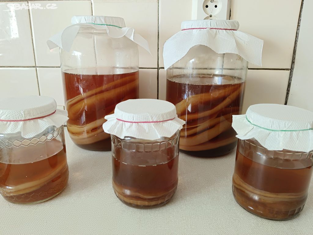 Kombucha