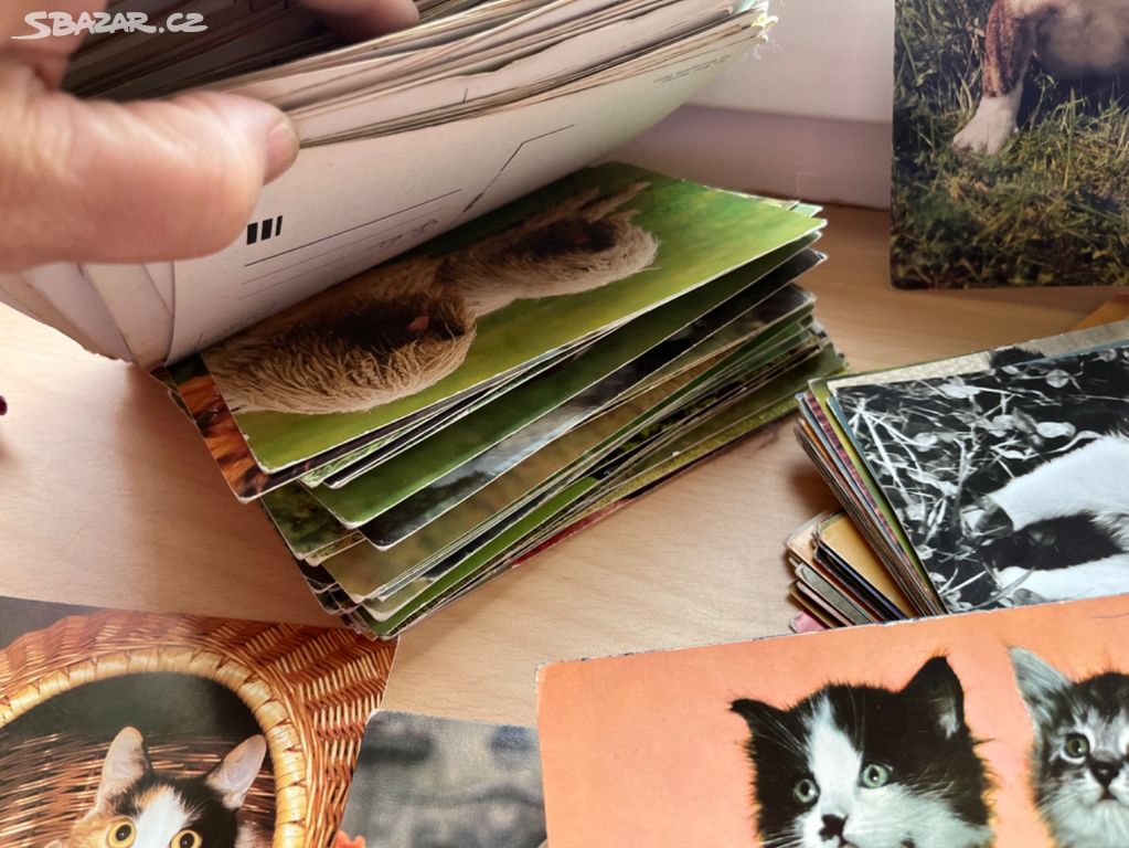 Staré pohlednice psi a kočky