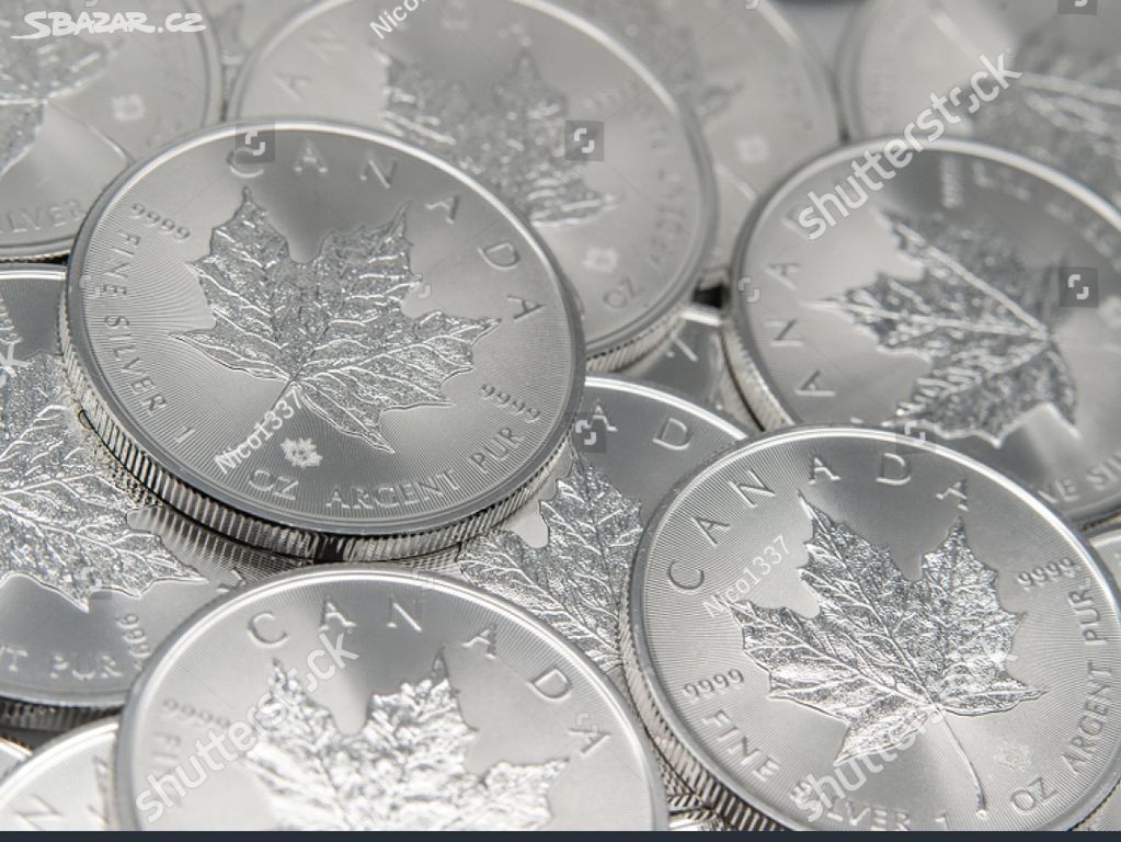 Stříbrná mince Maple leaf 1oz.