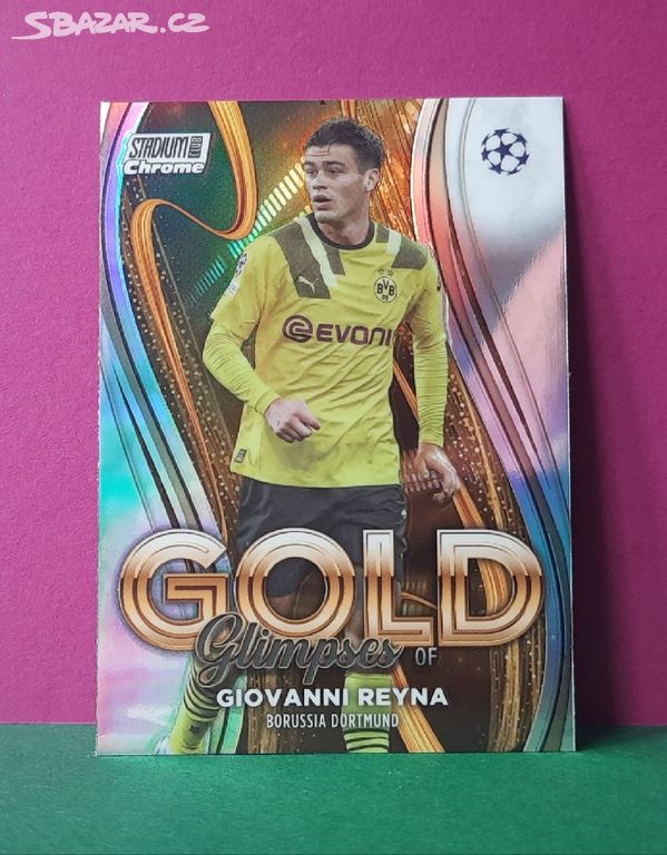 GIOVANNI REYNA _ 2023 _ Borussia Dortmund