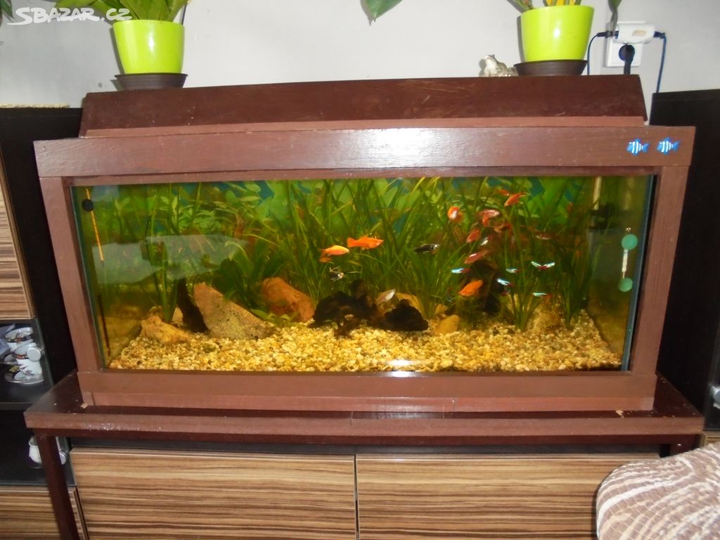 Akvarium 2 roky používané