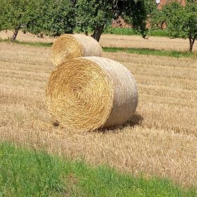 Obrázek k inzerátu: Sláma letošní kulaté balíky