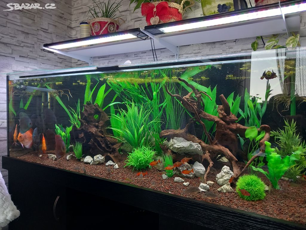 Akvarium 150x50x50