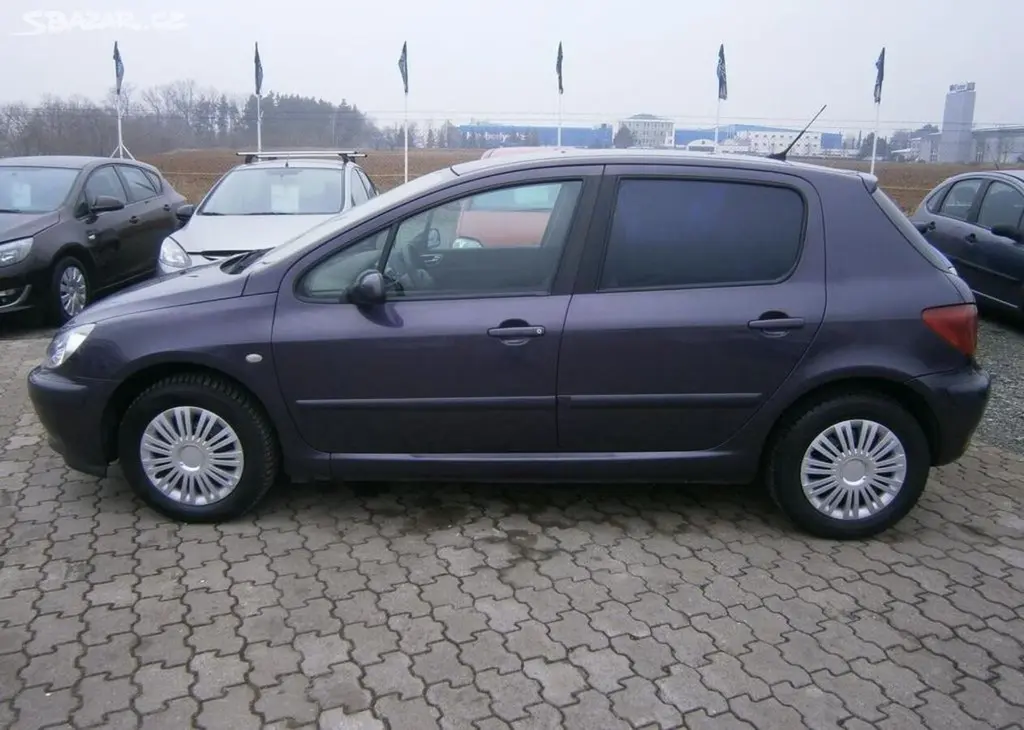 Peugeot 307 1.6i 80kw,Digi klima benzín manuální - fotka 4
