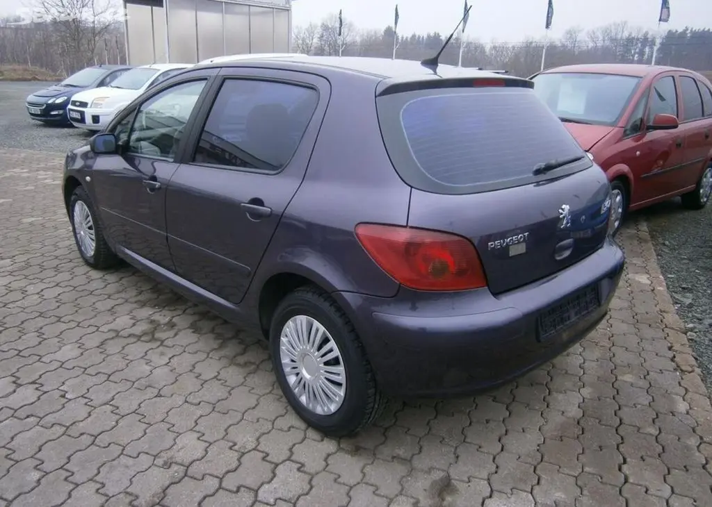 Peugeot 307 1.6i 80kw,Digi klima benzín manuální - fotka 5