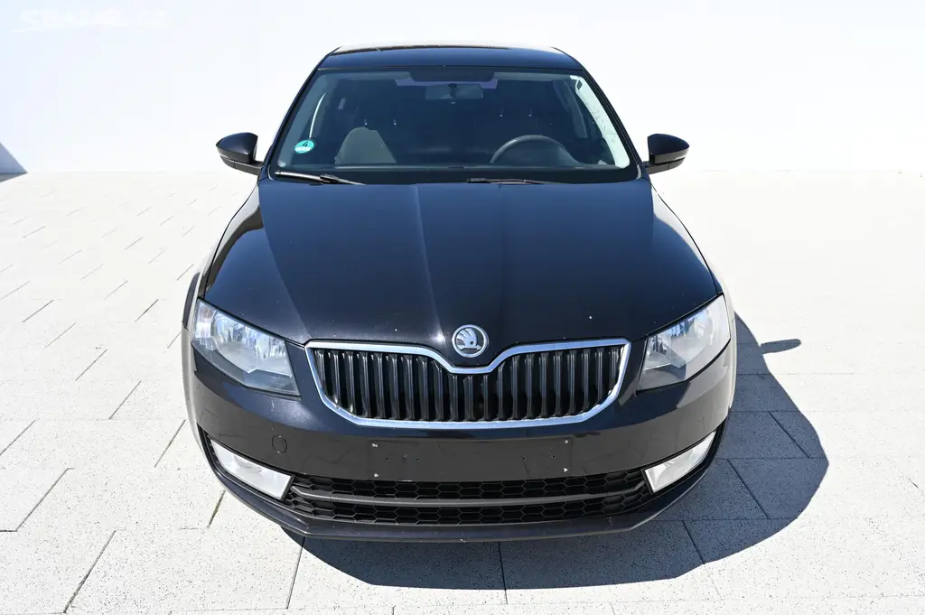 Škoda Octavia, 1.6TDI 77KW Ambition 1/2013 - fotka 2