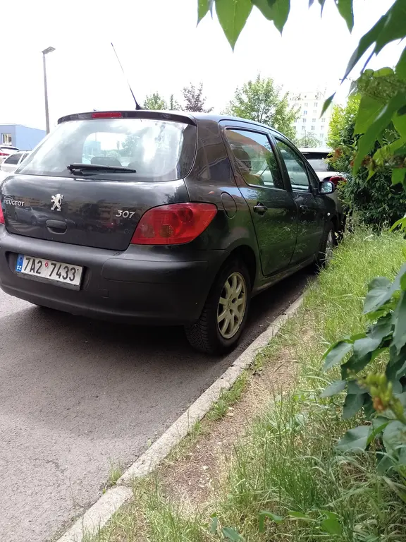 Peugeot 307 1.6 80 kW benzín - fotka 6