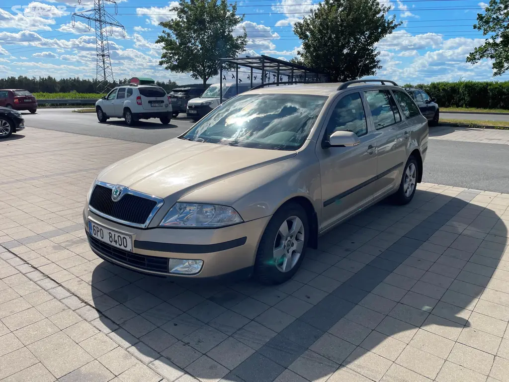 Octavia 2 1.9 TDi 77 kw bez DPF - fotka 2