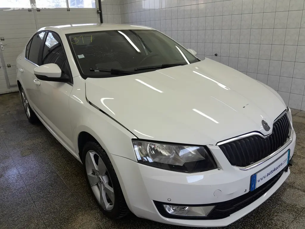 Náhled: Škoda Octavia III 2.0 TDI