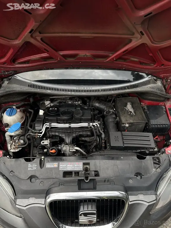 Seat Altea 2,0 TDI 125kw 4x4 11/2007 - fotka 3