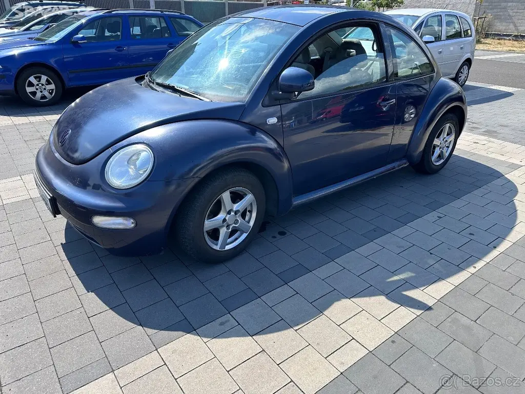 New beetle - fotka 6
