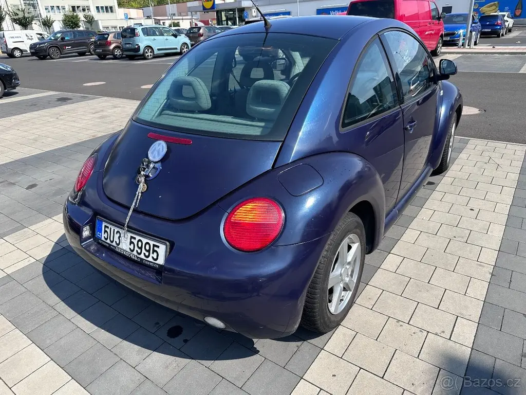 New beetle - fotka 3
